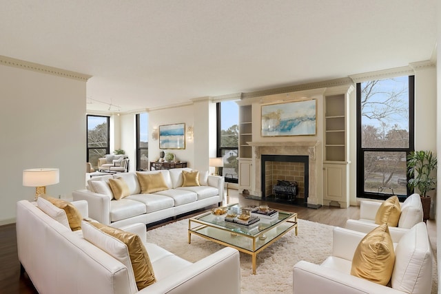 living room featuring a healthy amount of sunlight and light hardwood / wood-style floors