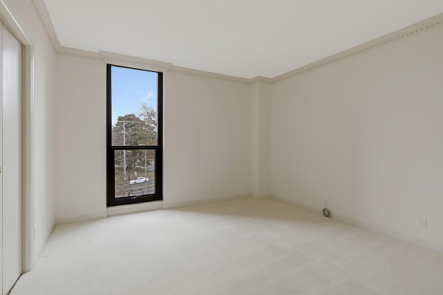 spare room with crown molding and light carpet