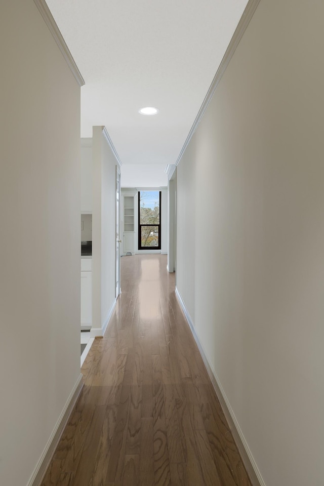 hallway with crown molding and hardwood / wood-style floors