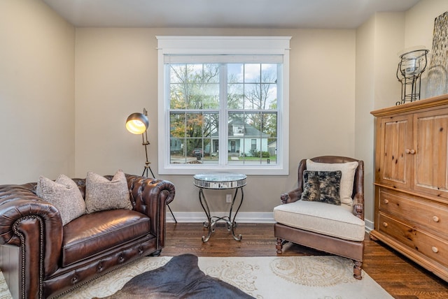 living area featuring hardwood / wood-style floors