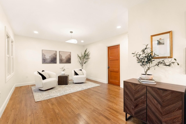 living room featuring wood-type flooring