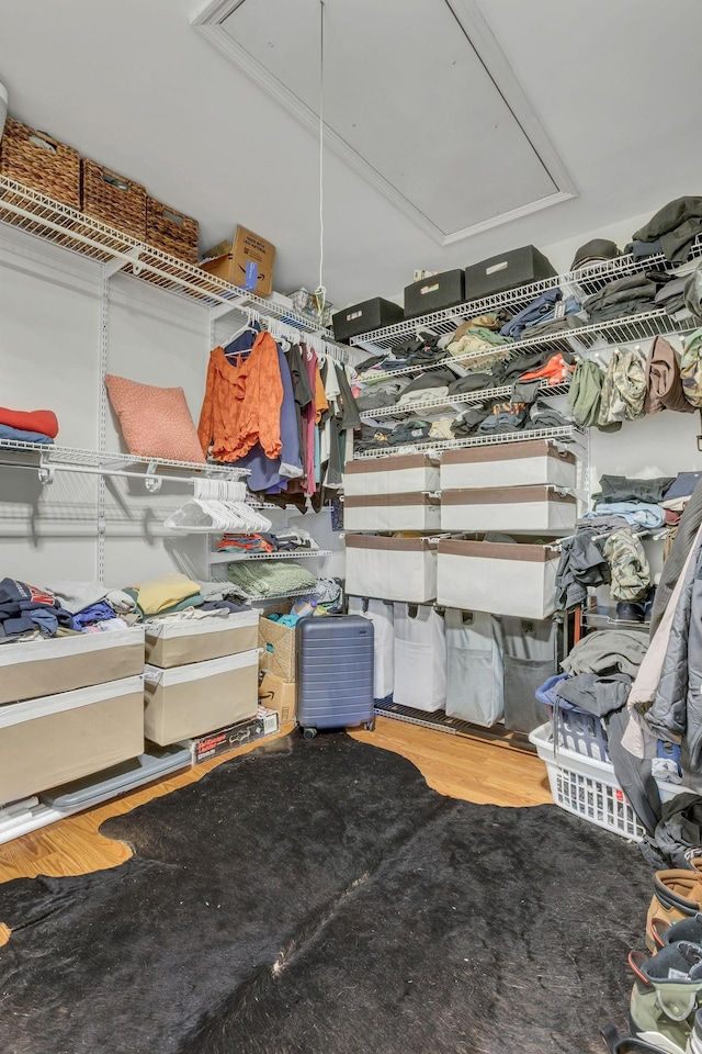 walk in closet featuring hardwood / wood-style flooring