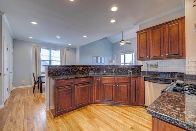 kitchen featuring light wood-type flooring, tasteful backsplash, stainless steel dishwasher, and a healthy amount of sunlight