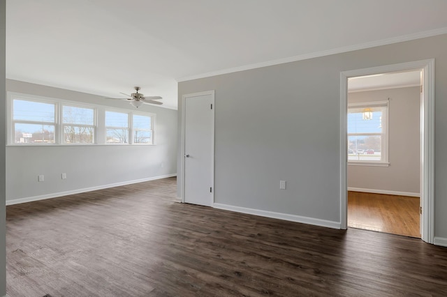 spare room with dark hardwood / wood-style flooring, ceiling fan, and crown molding