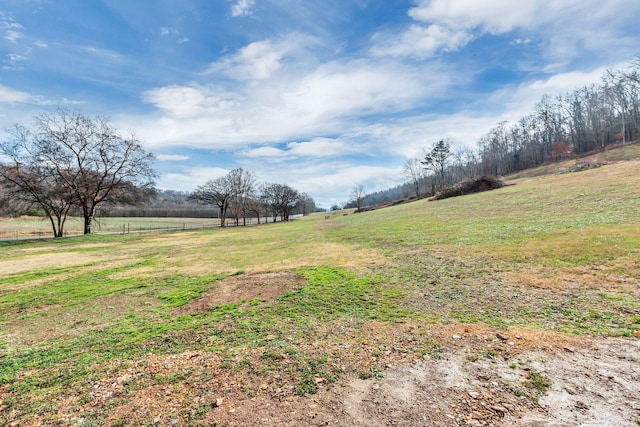 view of yard featuring a rural view