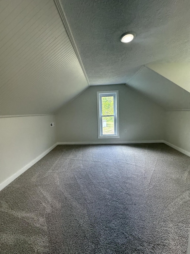 additional living space with a textured ceiling, carpet floors, and vaulted ceiling