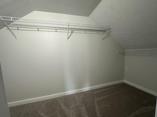 spacious closet with carpet floors and vaulted ceiling