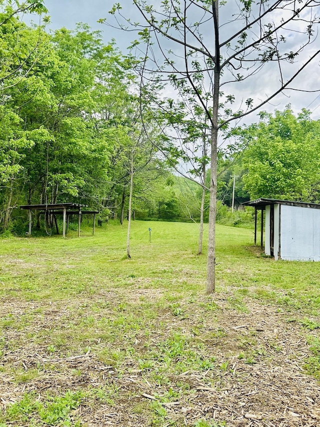 view of yard featuring an outdoor structure