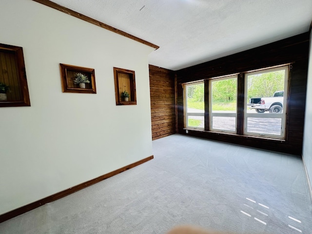 empty room with light colored carpet, a textured ceiling, and wooden walls