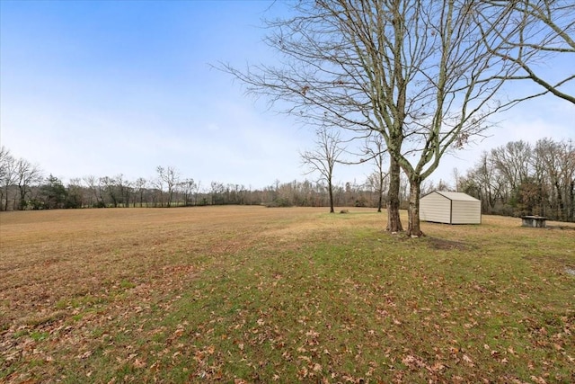 view of yard with a storage shed