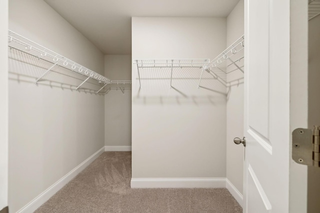 spacious closet with carpet