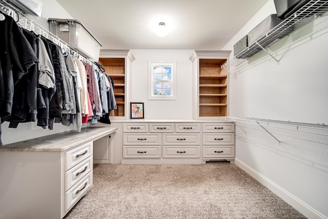 spacious closet with light carpet