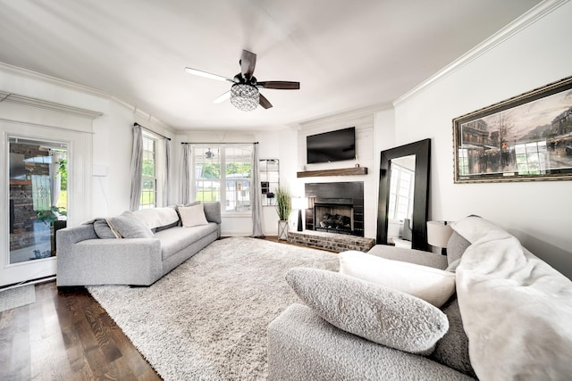 living room featuring ceiling fan, a large fireplace, ornamental molding, and dark wood-type flooring