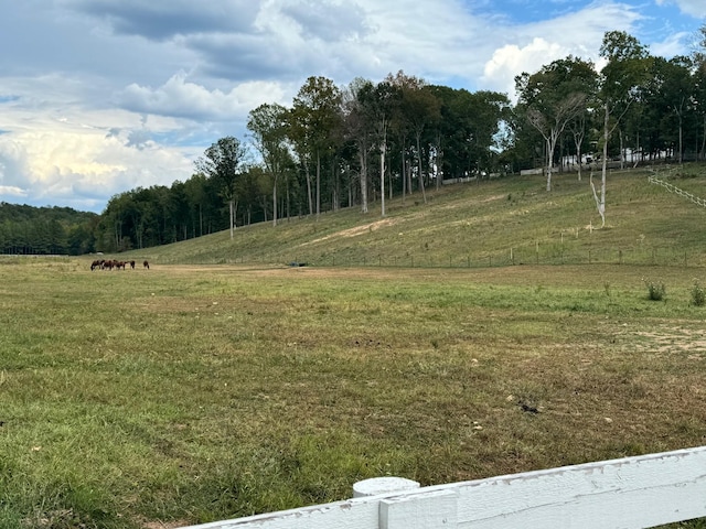 view of nature featuring a rural view