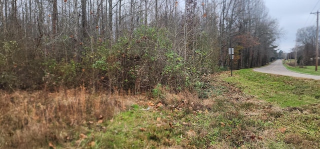 Listing photo 3 for 2870 Divider And Natchez Trace Rd, Camden TN 38320