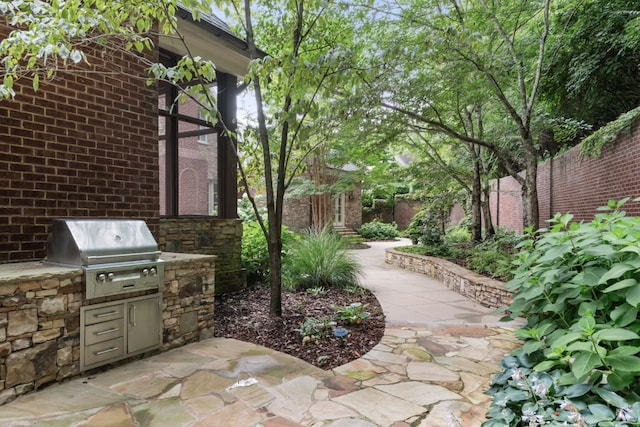 view of patio / terrace with an outdoor kitchen and area for grilling