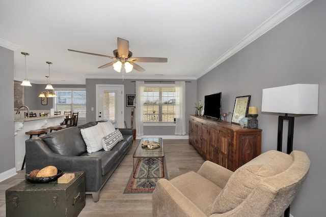 living room with light hardwood / wood-style floors, ceiling fan, and ornamental molding