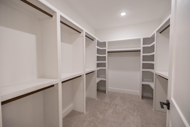 spacious closet with light carpet