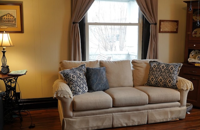 living room featuring dark hardwood / wood-style flooring