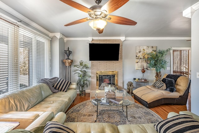 living room featuring crown molding, hardwood / wood-style floors, ceiling fan, and a fireplace