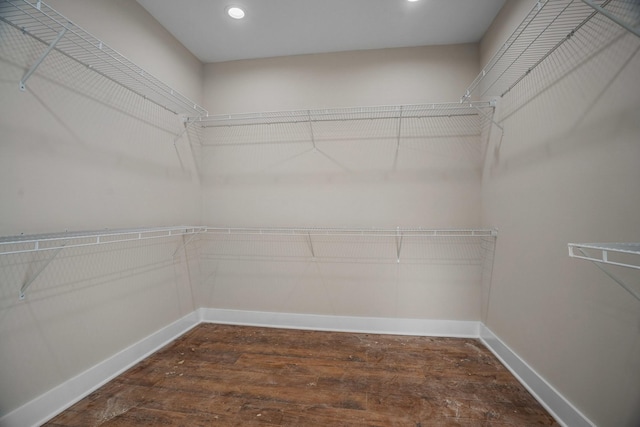 spacious closet featuring dark wood-style floors