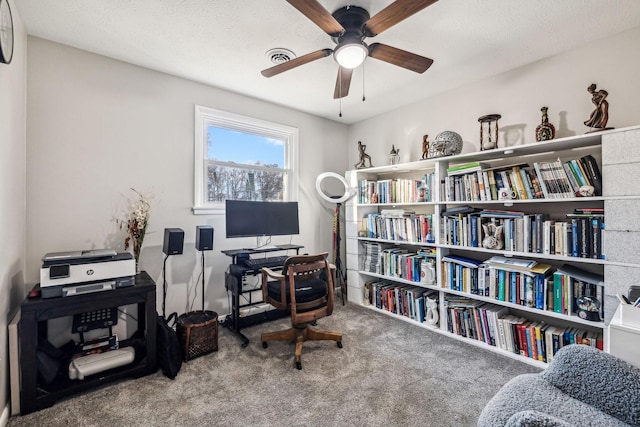 129 Dylark Dr, Waverly, TN 37185 - home office with ceiling fan, carpet flooring, and a textured ceiling