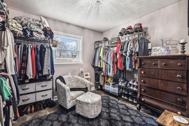 spacious closet with carpet