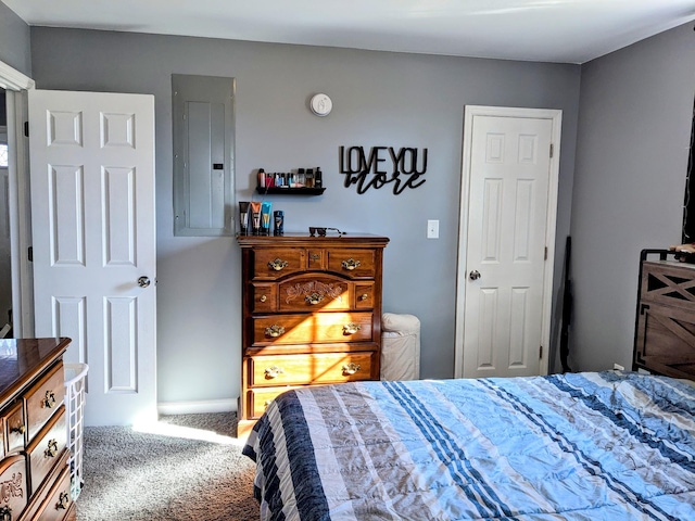 bedroom with electric panel and carpet