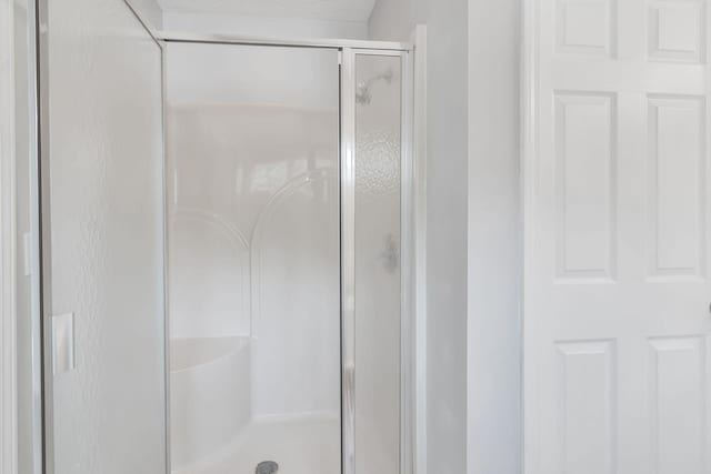 bathroom featuring a shower with shower door