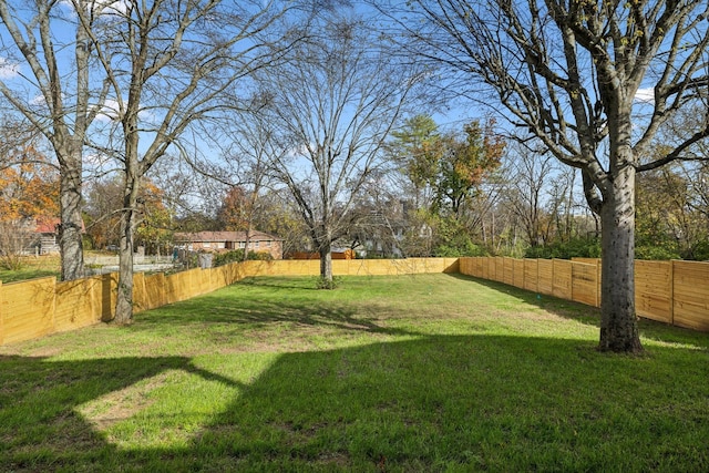 view of yard