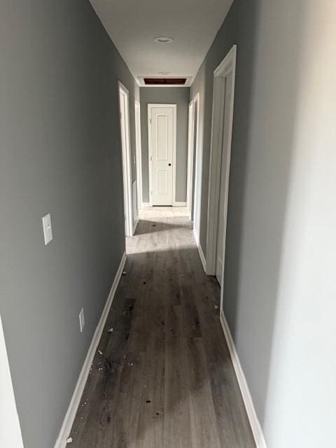 hall featuring dark wood-type flooring