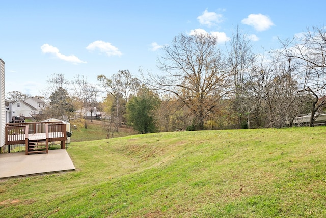 view of yard featuring a wooden deck