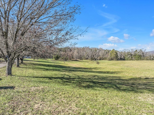 7581 N Milton Rd, Milton TN, 37118 land for sale