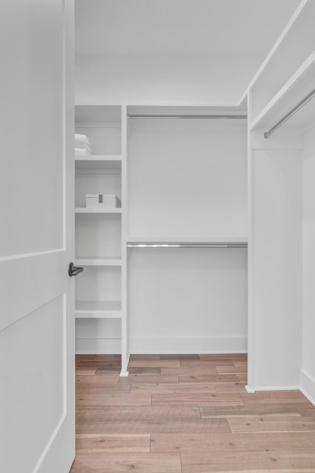 spacious closet featuring light wood-type flooring