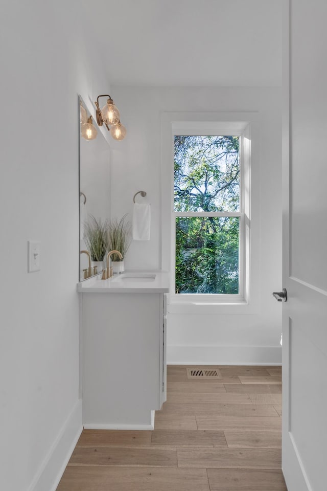 bathroom featuring vanity and wood-type flooring