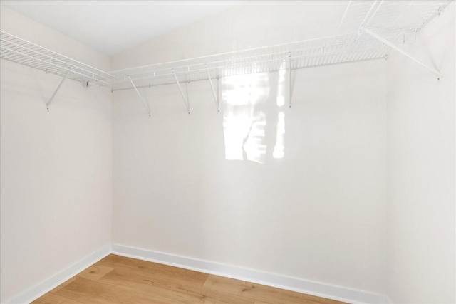 walk in closet featuring wood-type flooring