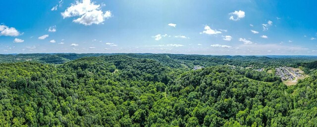 0 Hartland Rd, Franklin, TN 37069 - photo 3