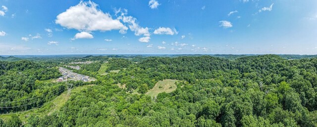0 Hartland Rd, Franklin, TN 37069 - photo 1