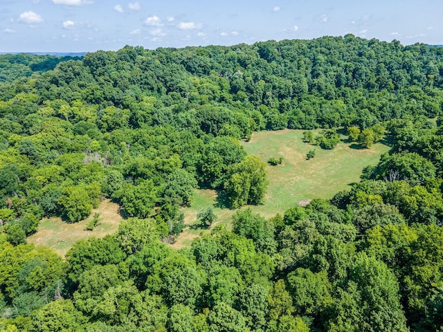 0 Hartland Rd, Franklin, TN 37069 - photo 11