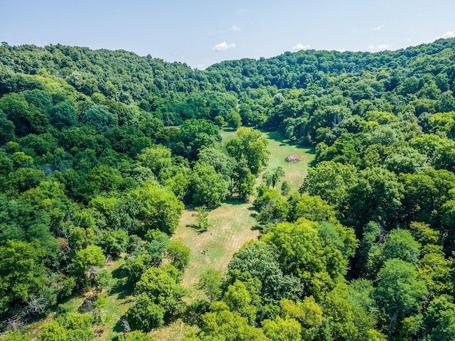 0 Hartland Rd, Franklin, TN 37069 - photo 9