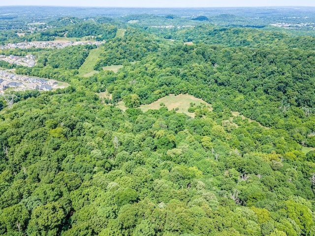 0 Hartland Rd, Franklin, TN 37069 - photo 35