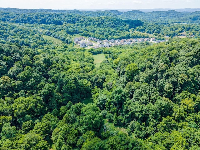 0 Hartland Rd, Franklin, TN 37069 - photo 27