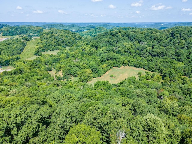 0 Hartland Rd, Franklin, TN 37069 - photo 13