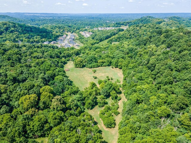0 Hartland Rd, Franklin, TN 37069 - photo 31