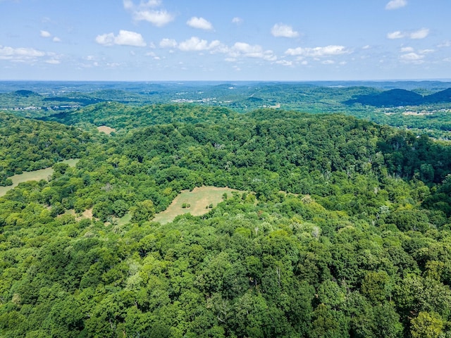 0 Hartland Rd, Franklin, TN 37069 - photo 34