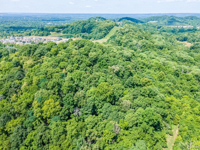 0 Hartland Rd, Franklin, TN 37069 - photo 21