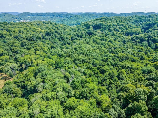 0 Hartland Rd, Franklin, TN 37069 - photo 22
