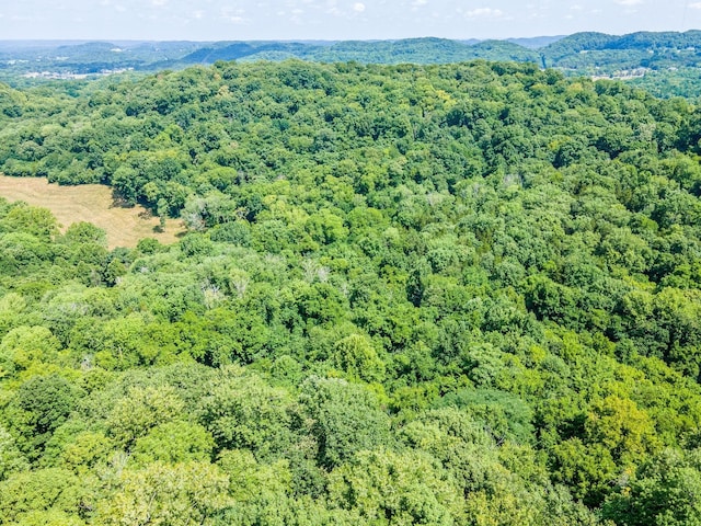 0 Hartland Rd, Franklin, TN 37069 - photo 25