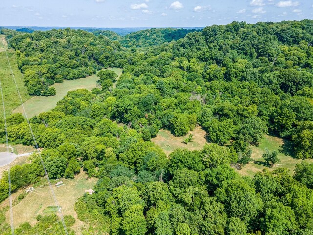 0 Hartland Rd, Franklin, TN 37069 - photo 10