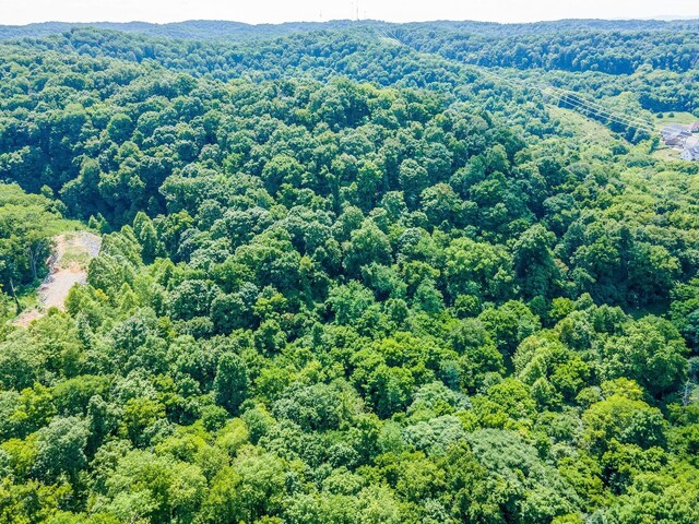 0 Hartland Rd, Franklin, TN 37069 - photo 26